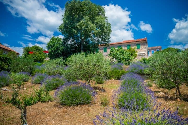 Villa Vesna